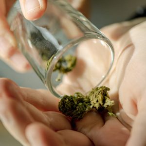 US πΏπΌ Cannabis Companies Database πβοΈ