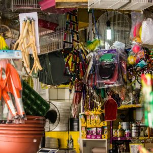 Home Gardening & Pet Stores India Database๐ฑ โหโง๐พ