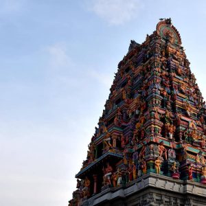 Tour & Travel Agents India Database✈️🧳🌍