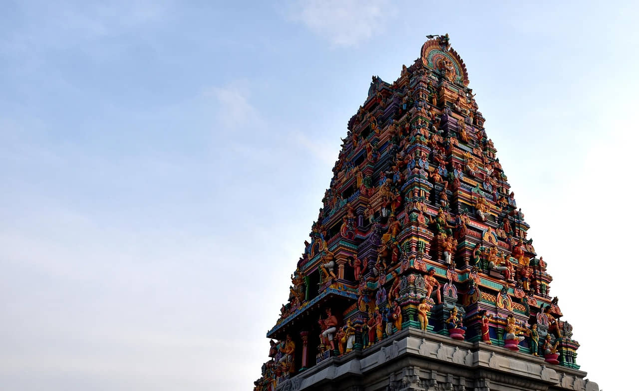 Tour & Travel Agents India Database✈️🧳🌍