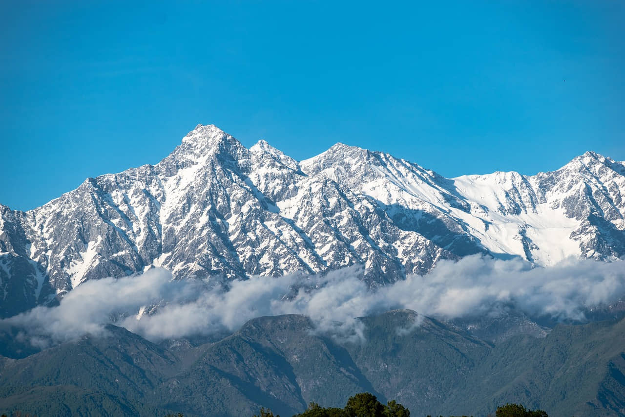 Tour & Travel Agents India Database✈️🧳🌍 - Image 2
