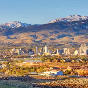 Nevada Population Contact Database ππ§π