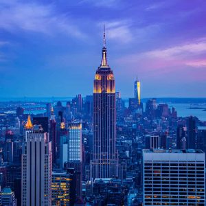 New York Population Contact Database📞📧📍