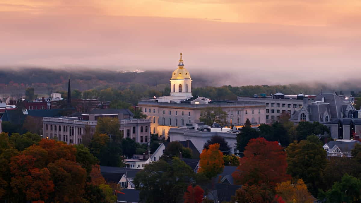 ποΈπ New Hampshire Population Database 2025 ππ‘