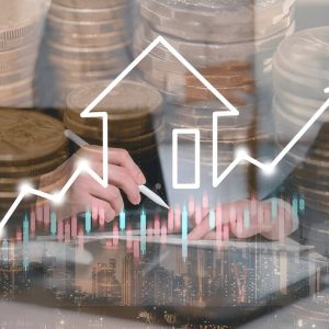 🏢 US Real Estate Investor Database