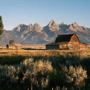 Wyoming Population Contact Database ππ§π