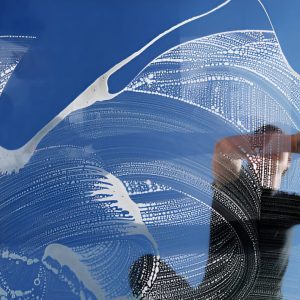 U.S. Window Cleaning Companies Database